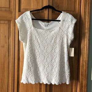 NWT Coldwater Creek elegant cream lace blouse